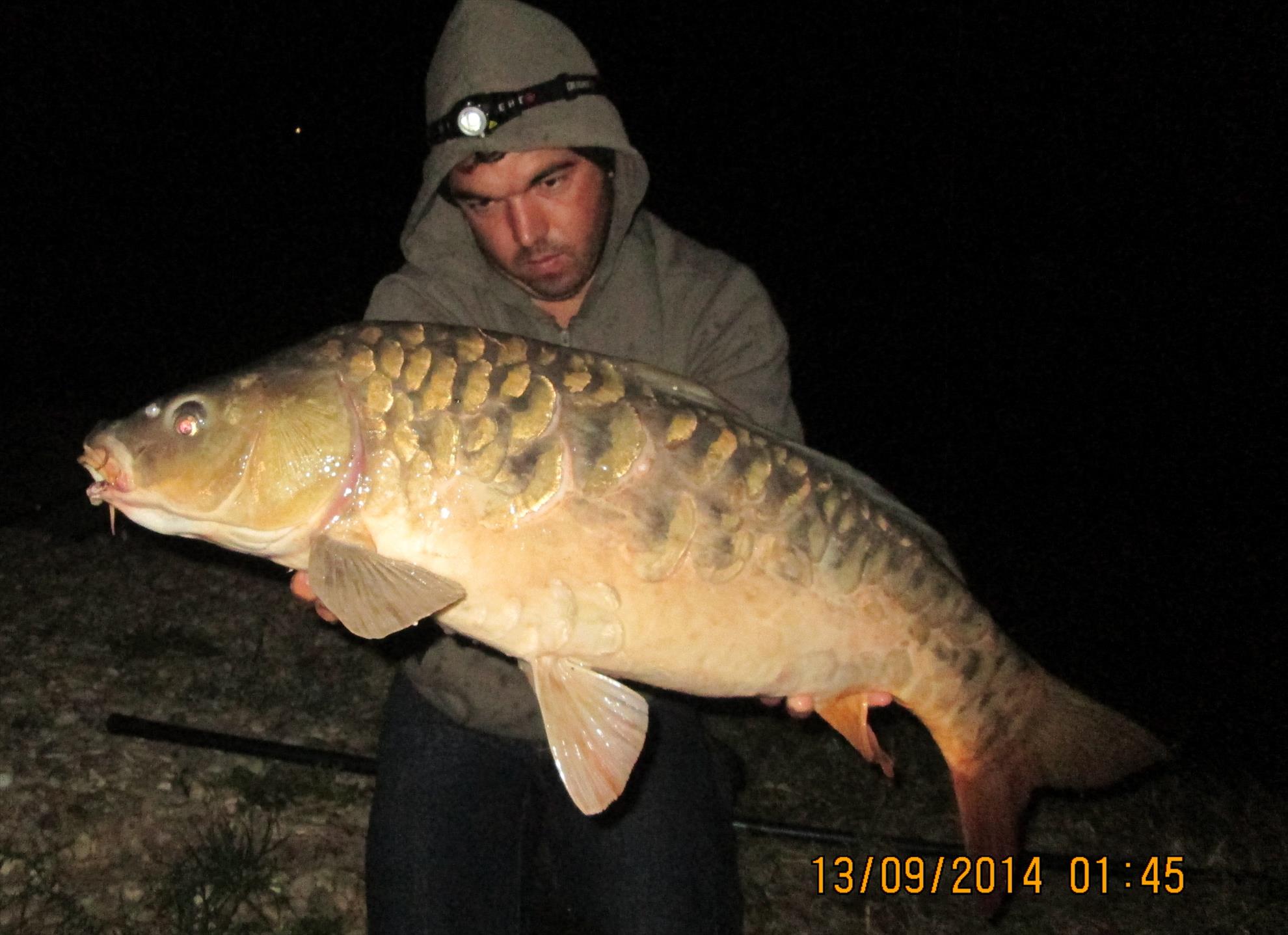 Hermes Peris 12 - 13 septembrie 2014 - img2732.JPG